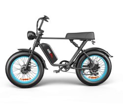 C91-20 Inch Dual-drive High-speed Electric Bike - Image 9