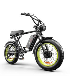 C91-20 Inch Dual-drive High-speed Electric Bike - Image 4