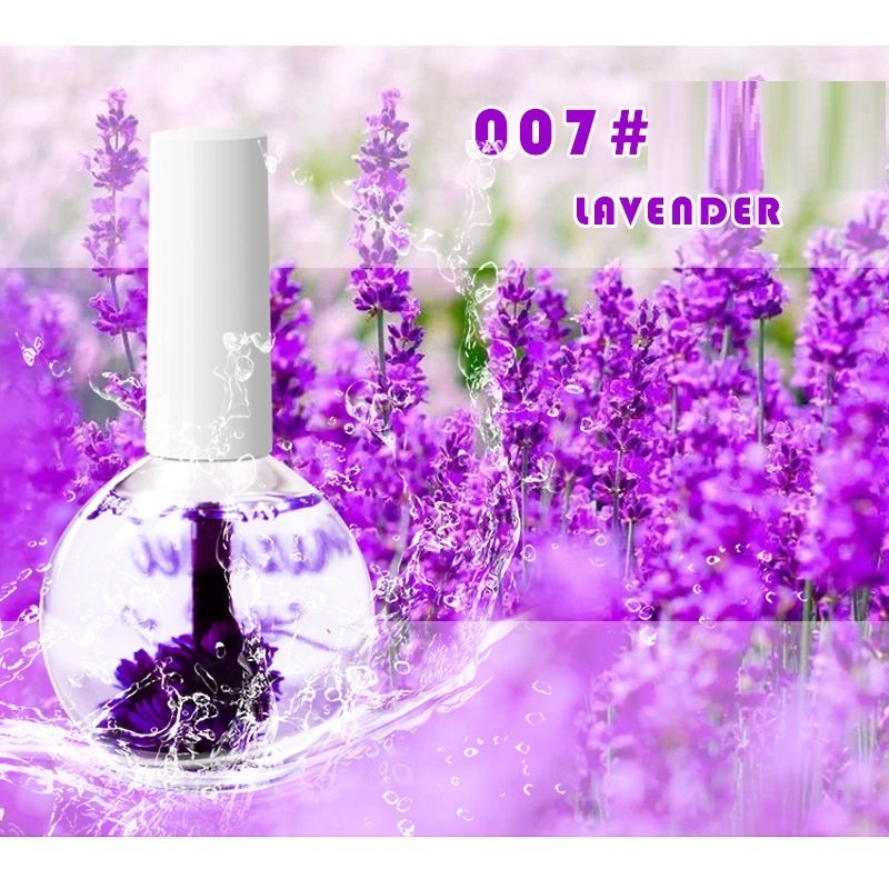 Nail Beauty Dried Flowers Nutrition Nail Treatment Oil Anti-agnail Nail Edge Moisturizing Nail Base Coat Natural Dried Flower Nutrient Solution - Image 9